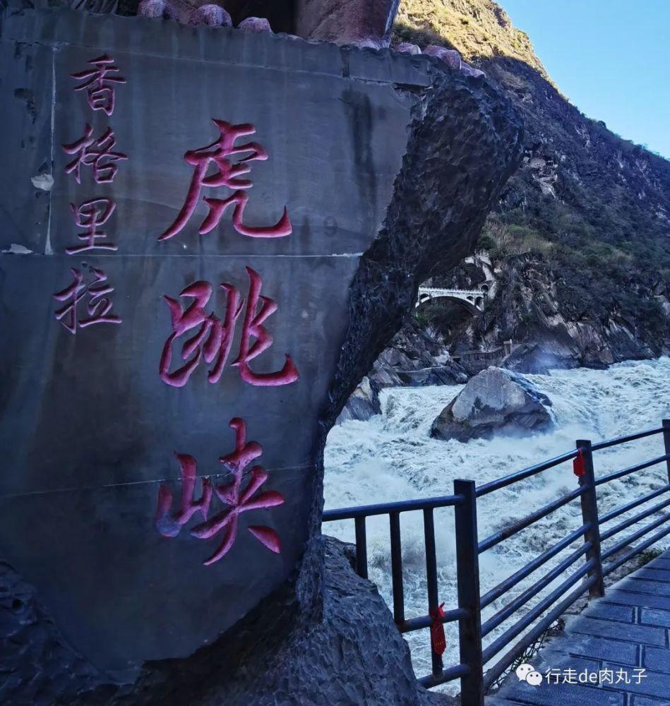 虫虫助手下载