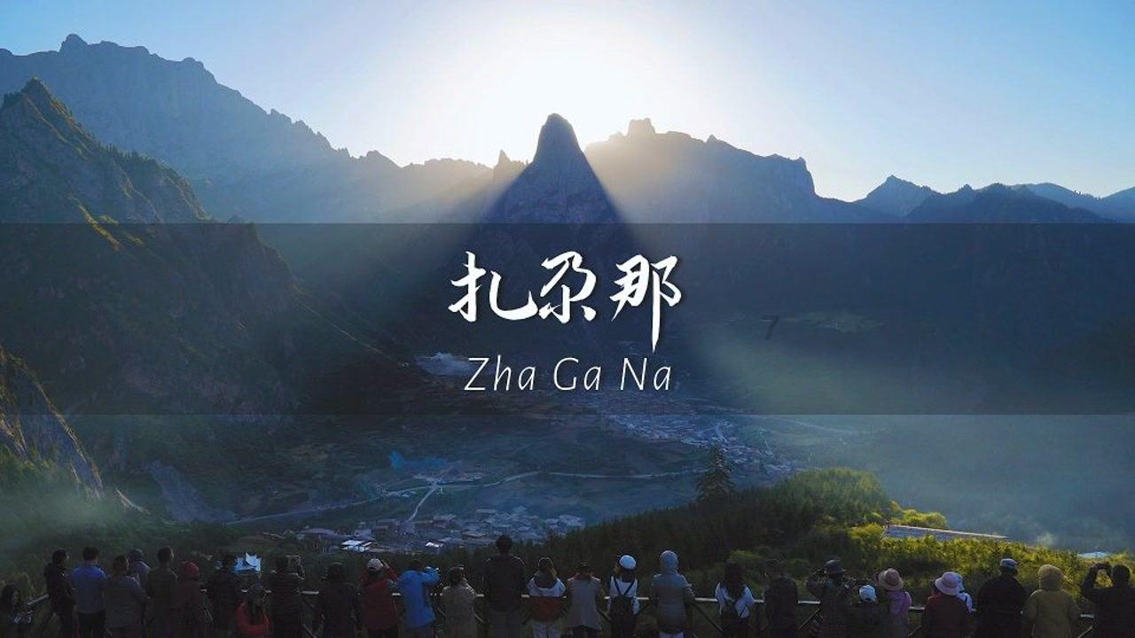 探索六十万一个轮胎车,你见没见过?的全新红迪网平台!