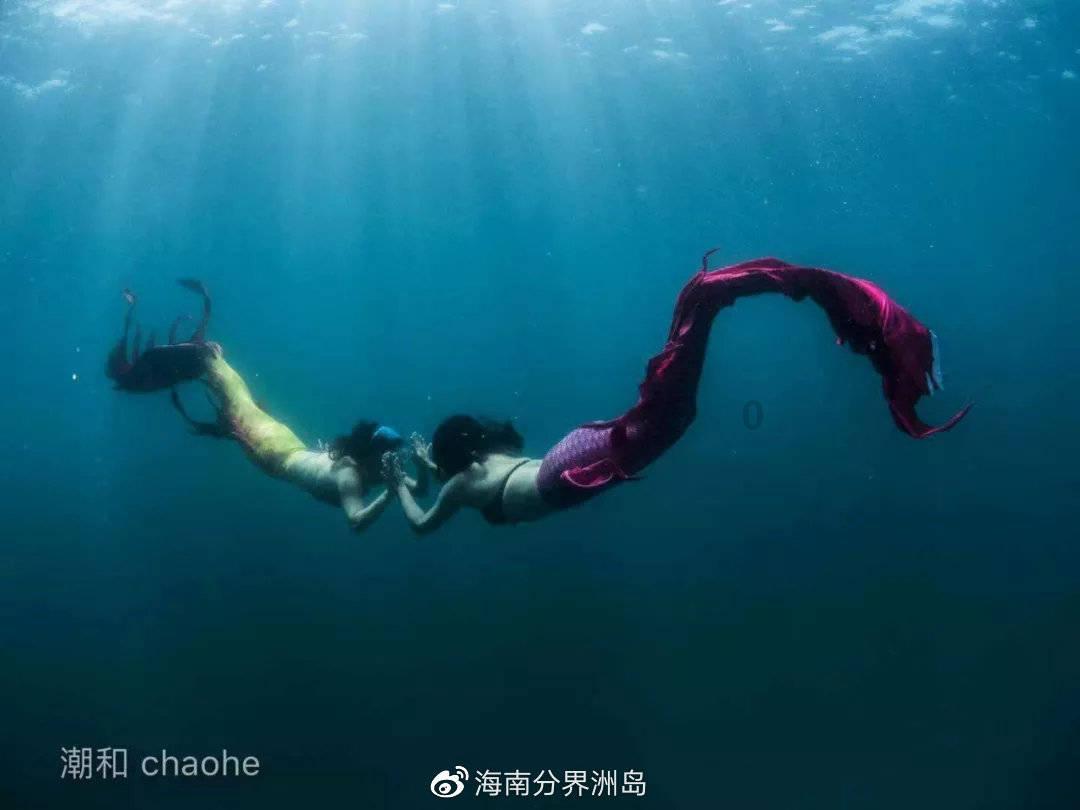 妙鸭相机app下载官网