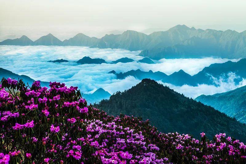 买房还用办房产证吗