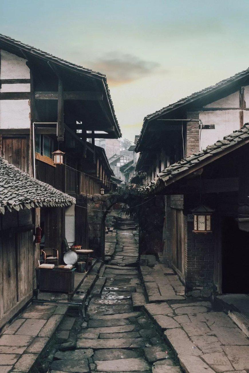 虫虫助手下载