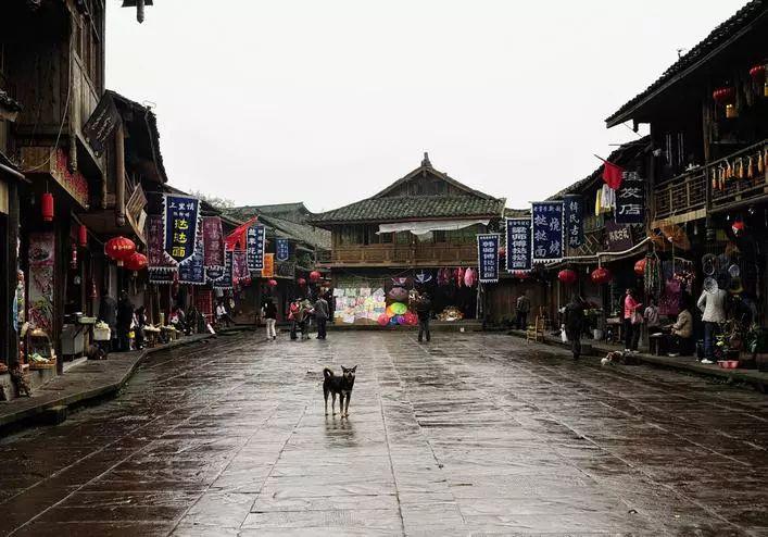 小猫钓鱼游戏龙王版有船