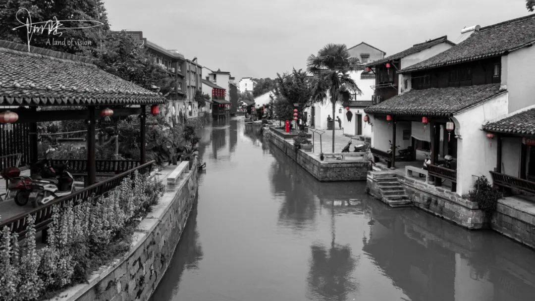春雨直播app