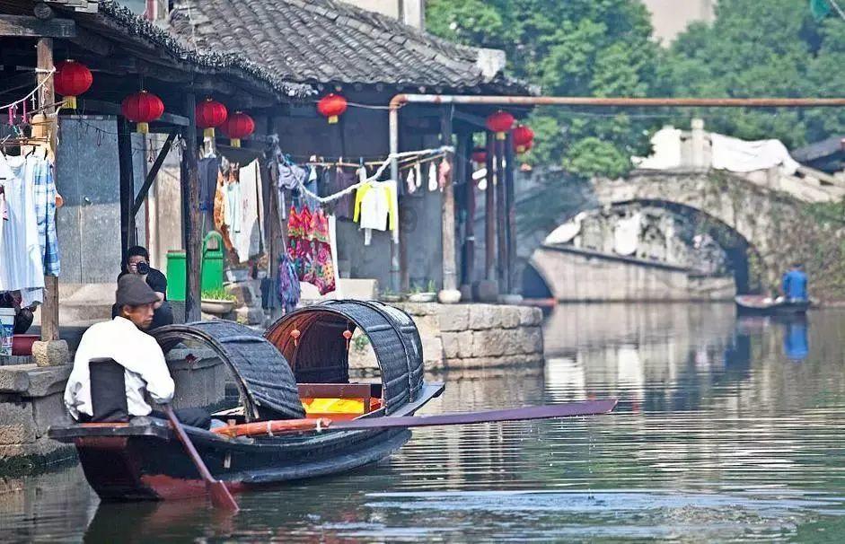 动物帮帮忙保卫家园